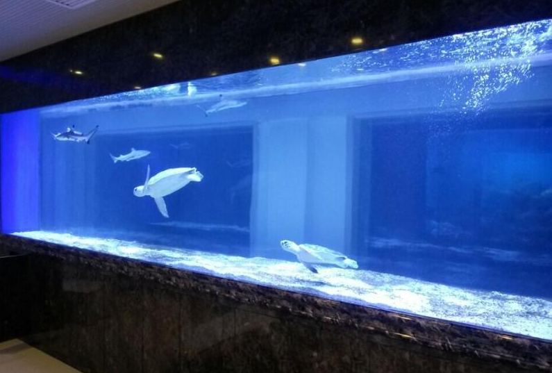 沉浸式水族館的設(shè)計(jì)秘訣